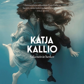 Säkenöivät hetket (ljudbok) av Katja Kallio