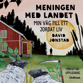 Meningen med landet (ljudbok) av David Jonstad