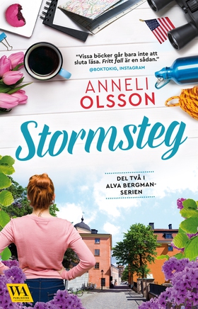 Stormsteg (e-bok) av Anneli Olsson