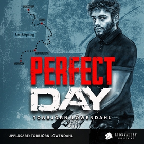 Perfect Day (ljudbok) av Torbjörn Löwendahl