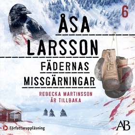 Fädernas missgärningar (ljudbok) av Åsa Larsson