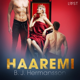 Haaremi - eroottinen novelli (ljudbok) av B. J.