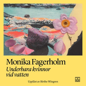 Underbara kvinnor vid vatten (ljudbok) av Monik