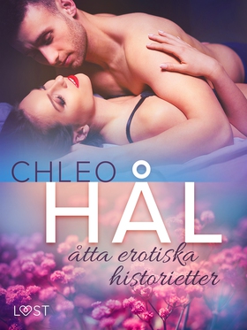 Hål: åtta erotiska historietter (e-bok) av Chle