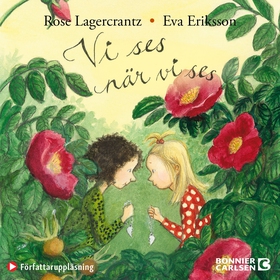 Vi ses när vi ses (ljudbok) av Rose Lagercrantz