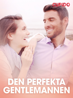 Den perfekta gentlemannen – erotisk novell (e-b