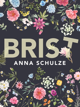 Brist (e-bok) av Anna Schulze