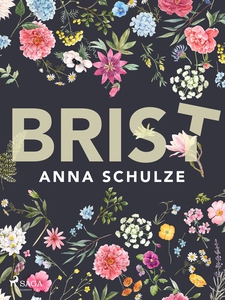 Brist (e-bok) av Anna Schulze