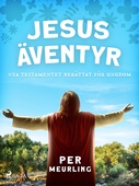 Jesus äventyr : Nya Testamentet berättat för ungdom