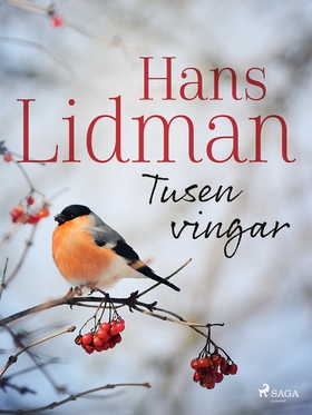 Tusen vingar (e-bok) av Hans Lidman