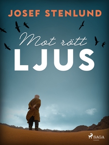 Mot rött ljus (e-bok) av Josef Stenlund