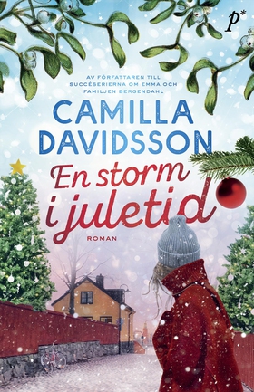 En storm i juletid (e-bok) av Camilla Davidsson