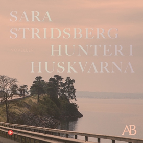 Hunter i Huskvarna (ljudbok) av Sara Stridsberg