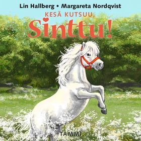 Kesä kutsuu, Sinttu! (ljudbok) av Lin Hallberg