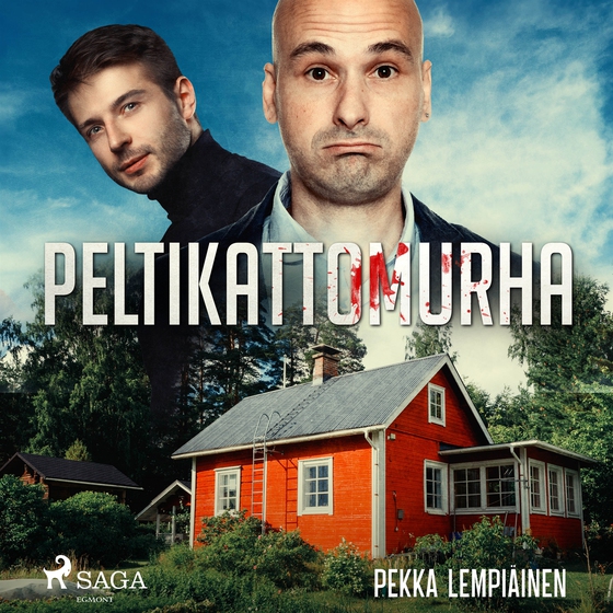 Peltikattomurha
