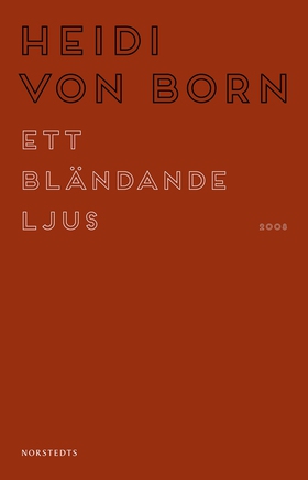 Ett bländande ljus (e-bok) av Heidi von Born