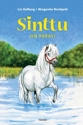 Sinttu on paras! (e-bok) av Lin Hallberg