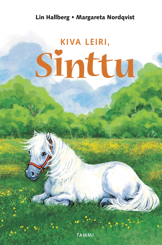 Kiva leiri, Sinttu