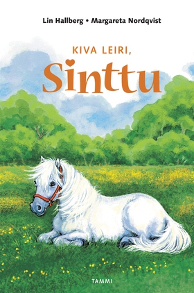 Kiva leiri, Sinttu (e-bok) av Lin Hallberg