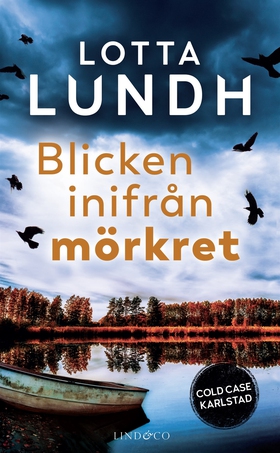 Blicken inifrån mörkret (e-bok) av Lotta Lundh