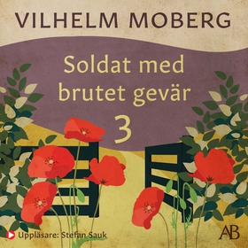 Soldat med brutet gevär 3 : Sanningens kunskap: