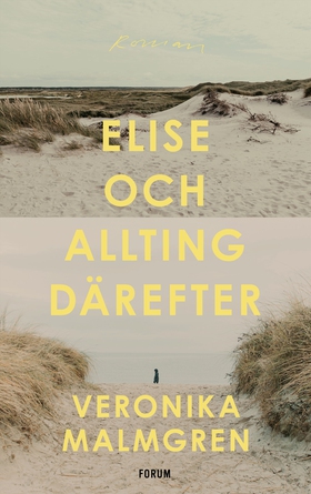 Elise och allting därefter (e-bok) av Veronika