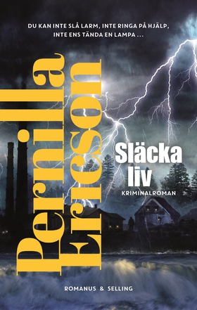 Släcka liv (e-bok) av Pernilla Ericson