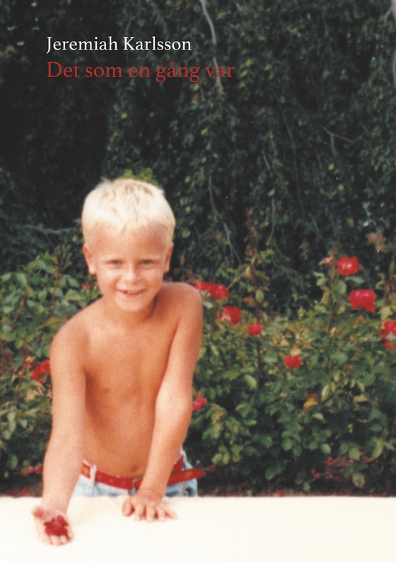 Det som en gång var: Lyrik