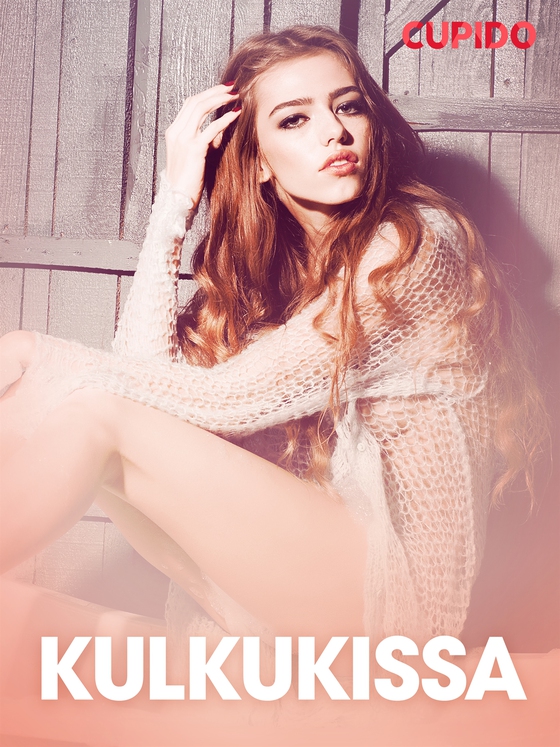 Kulkukissa – eroottinen novelli