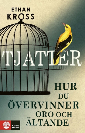 Tjatter : hur du övervinner oro och ältande (e-