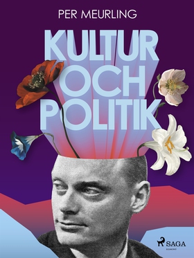 Kultur och politik (e-bok) av Per Meurling