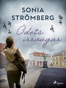 Ödets irrvägar (e-bok) av Sonia Strömberg