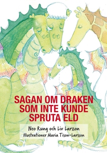 Sagan om draken som inte kunde spruta eld (e-bo