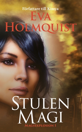Stulen magi (e-bok) av Eva Holmquist
