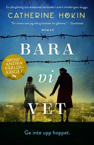 Bara vi vet (e-bok) av Catherine Hokin