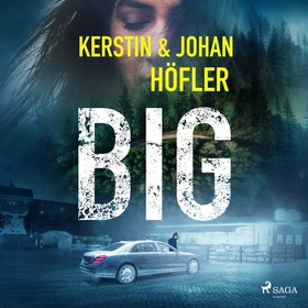 Big (ljudbok) av Johan Höfler, Kerstin Höfler