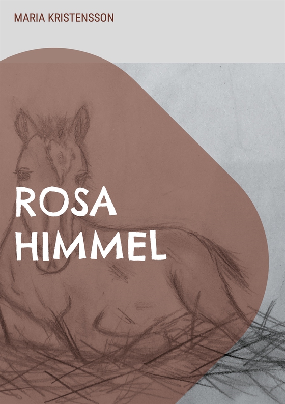 Rosa Himmel: En berättelse om en pojkes hjälteinsats (e-bok) av Maria Kristensson