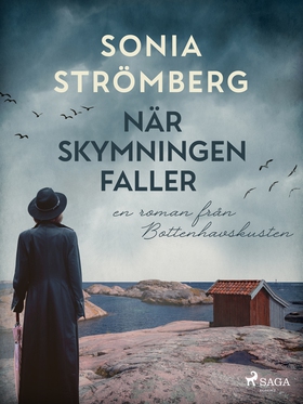 När skymningen faller (e-bok) av Sonia Strömber
