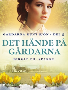 Det hände på gårdarna (e-bok) av Birgit Th. Spa
