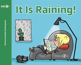 It Is Raining (e-bok) av Marianne Randel Sønder