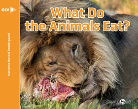 What Do the Animals Eat? (e-bok) av Marianne Ra