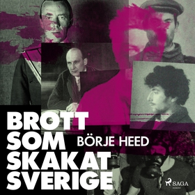 Brott som skakat Sverige (ljudbok) av Börje Hee