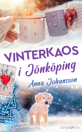 Vinterkaos i Jönköping (e-bok) av Anna Johansso
