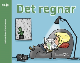 Det regnar! (e-bok) av Marianne Randel Sønderga