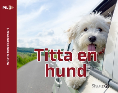 Titta en hund (e-bok) av Marianne Randel Sønder