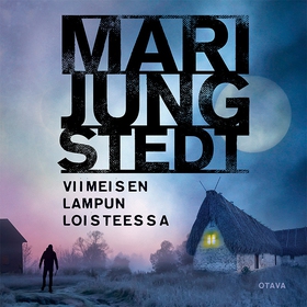 Viimeisen lampun loisteessa (ljudbok) av Mari J