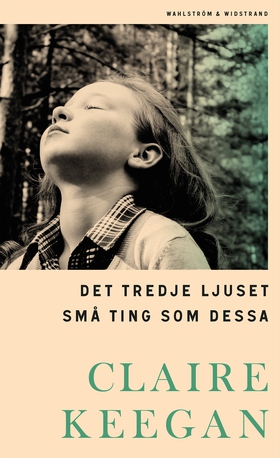 Det tredje ljuset ; Små ting som dessa (e-bok) 