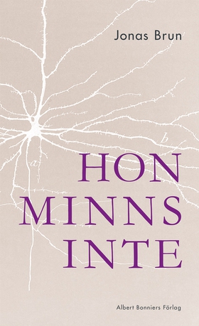 Hon minns inte (e-bok) av Jonas Brun