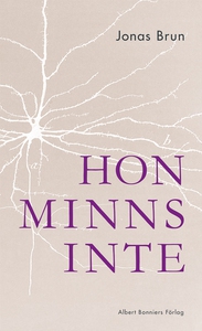 Hon minns inte (e-bok) av Jonas Brun