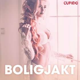 Boligjakt - erotiske noveller (ljudbok) av Cupi